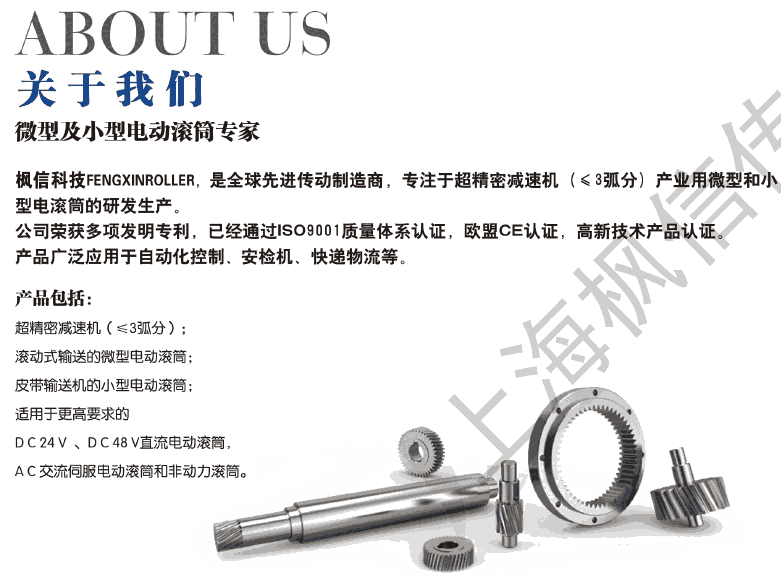 楓信智能物流分揀電動(dòng)滾筒